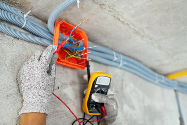 Best Affordable Electrician  in Spring Lake, MI